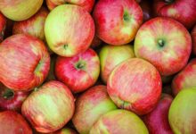 Nutrients In A Honeycrisp Apple