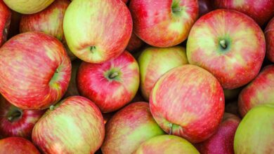 Nutrients In A Honeycrisp Apple