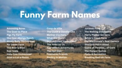 Funny Farm Names