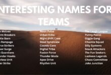 interesting names for teams