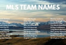 250+ MLS Team Names