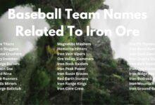 Baseball Team Names Related To Iron Ore