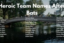 Heroic Team Names After Bats